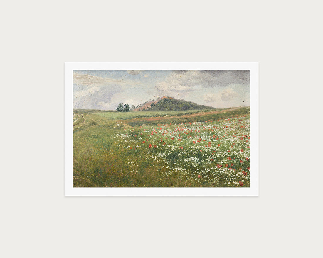 Poppy Fields