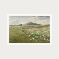 Poppy Fields