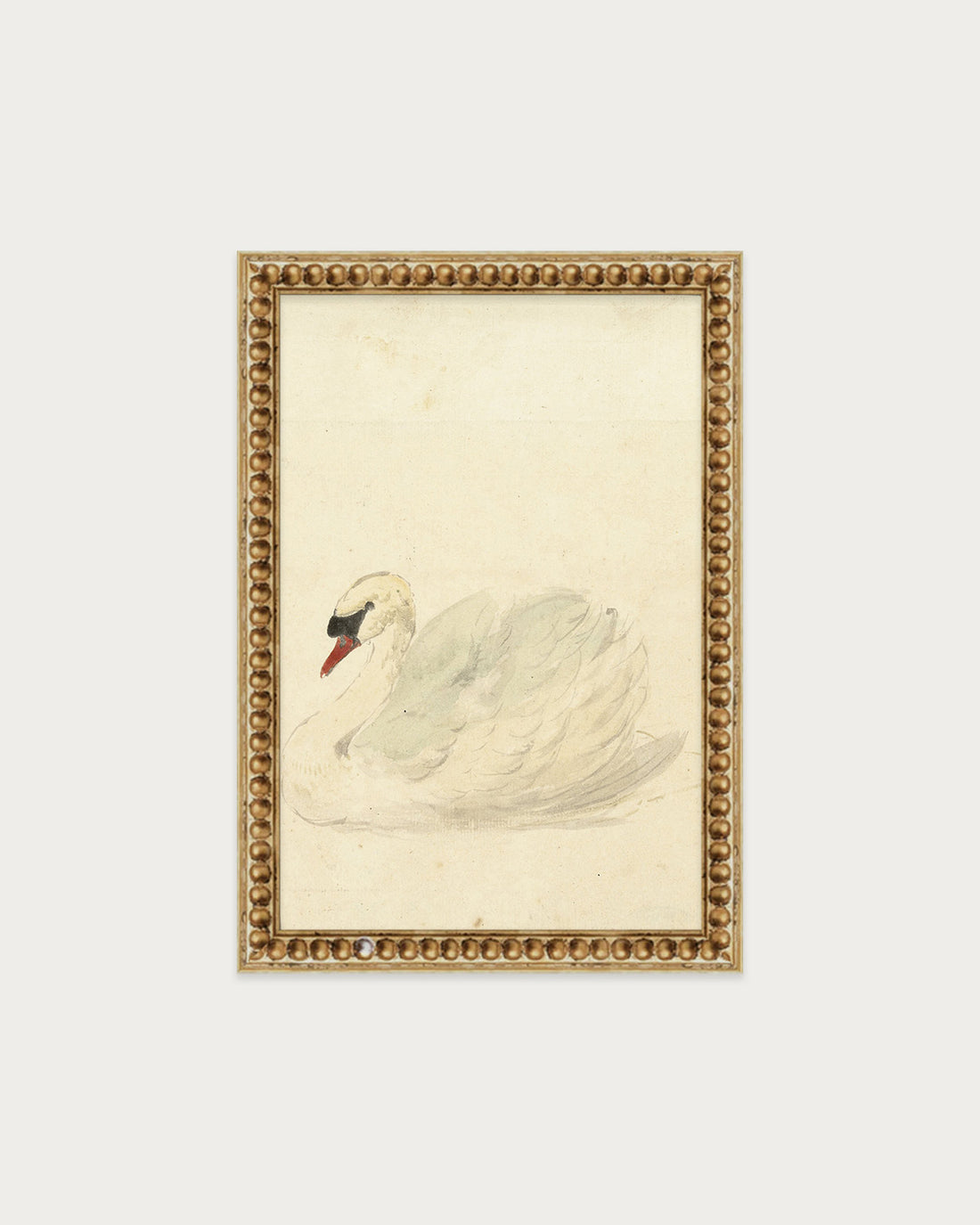 The Swan