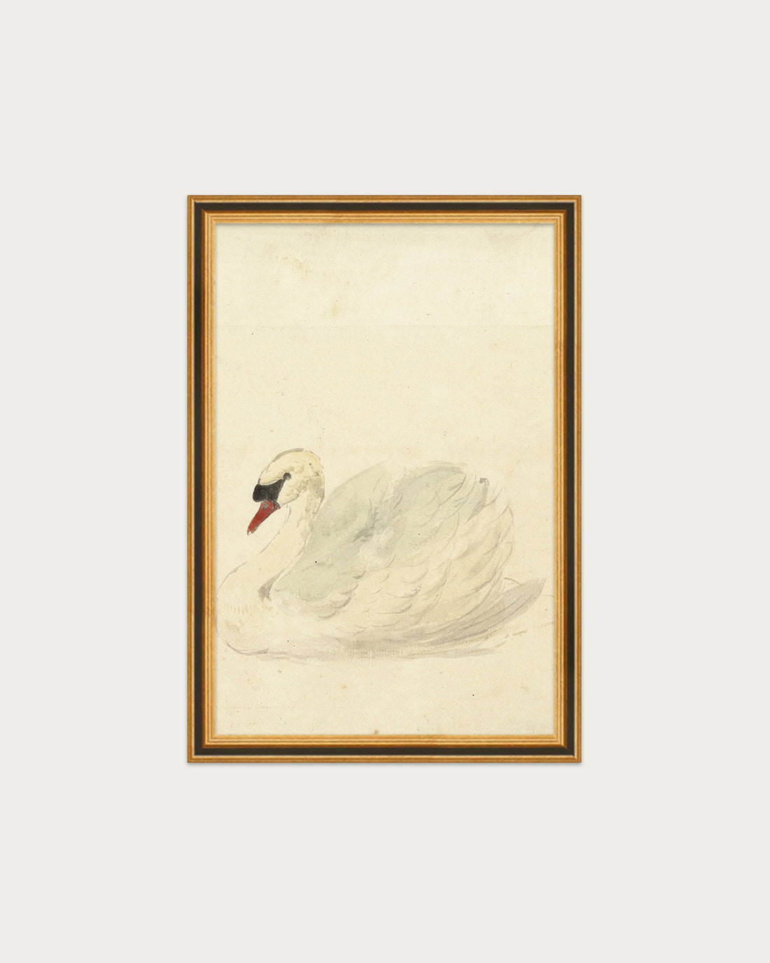 The Swan