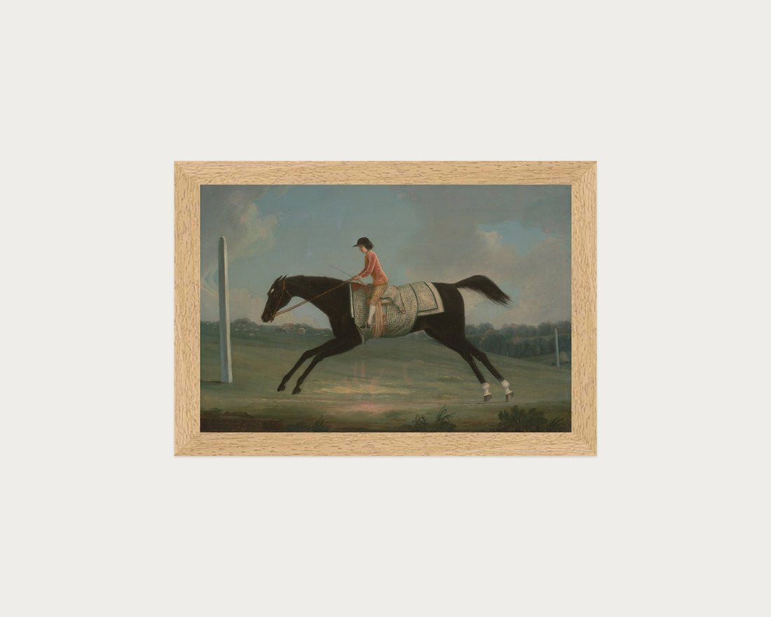 Derby Rider