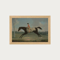 Derby Rider