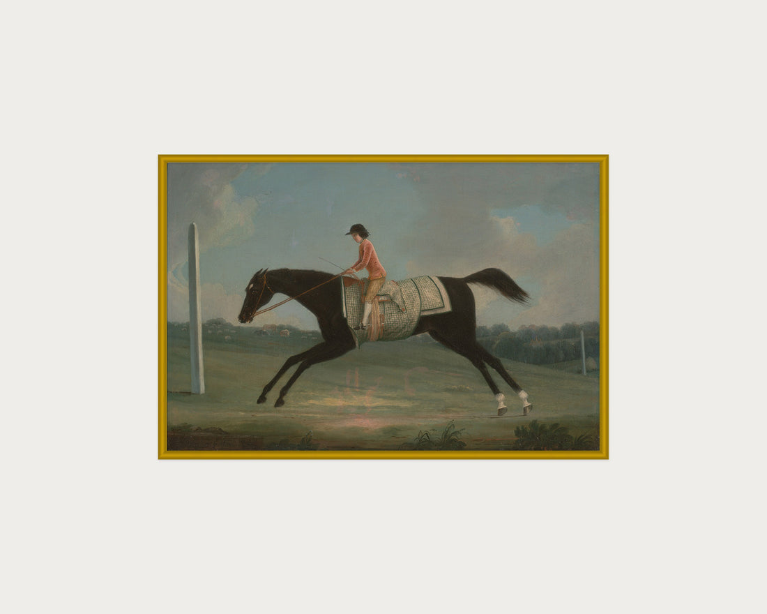 Derby Rider