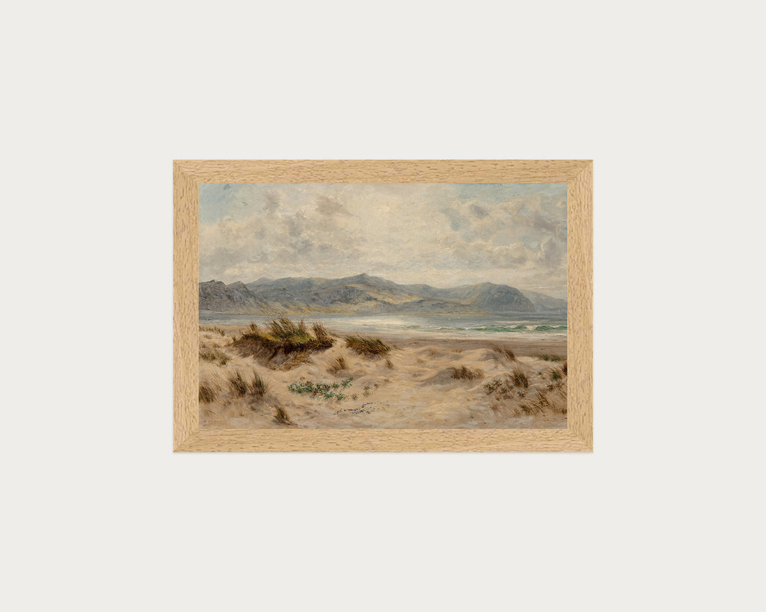 Dunes on the Welsh Coast