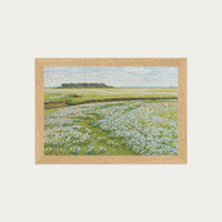 Fields in Bloom