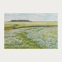 Fields in Bloom