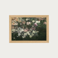 Garden in May