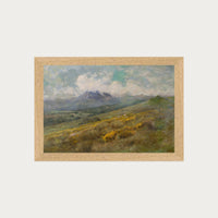 Golden Fields