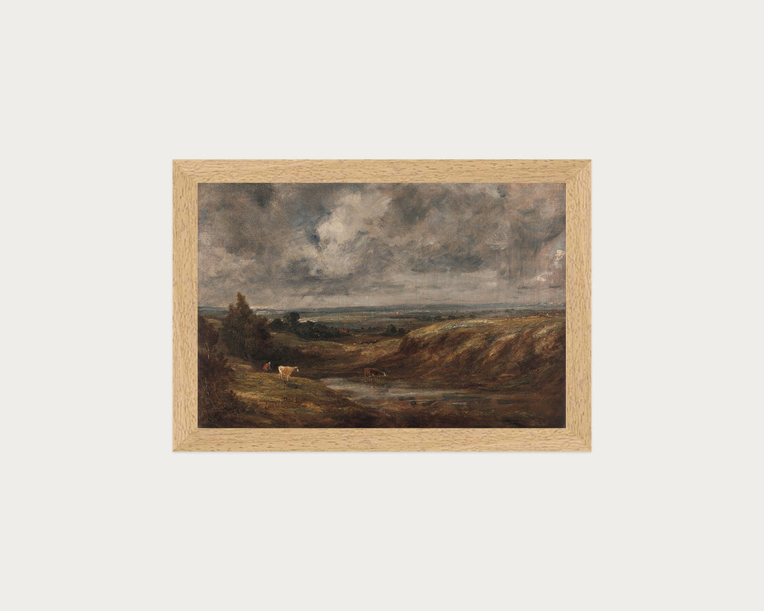 Hampstead Heath