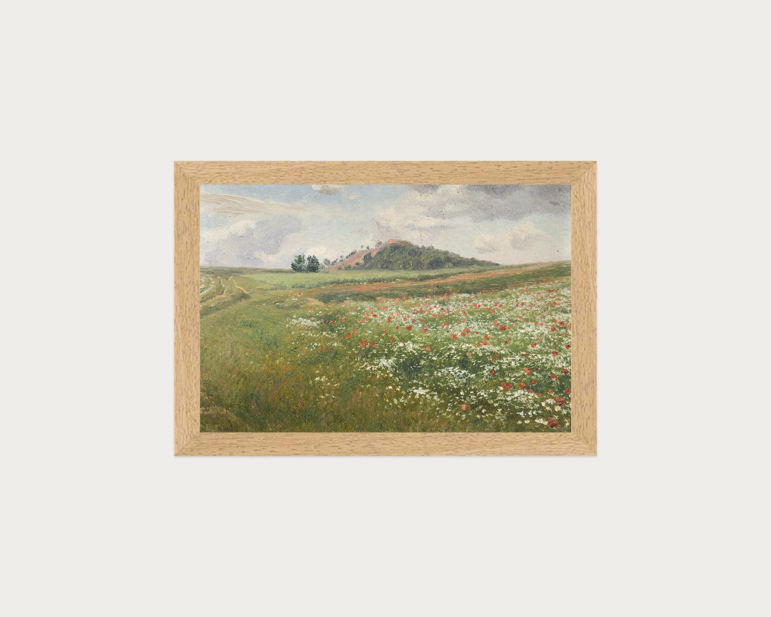 Poppy Fields