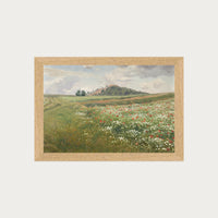 Poppy Fields
