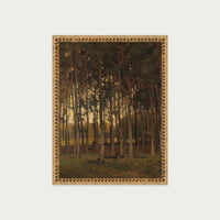Dawn in the Woods