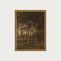 Dawn in the Woods