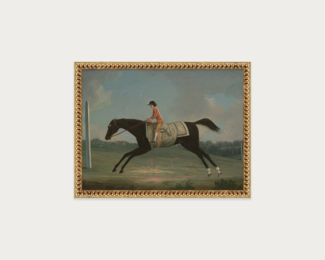 Derby Rider