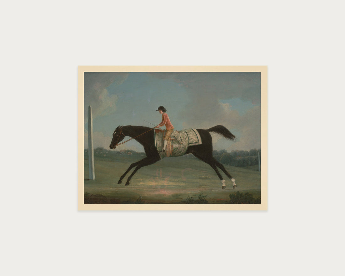 Derby Rider