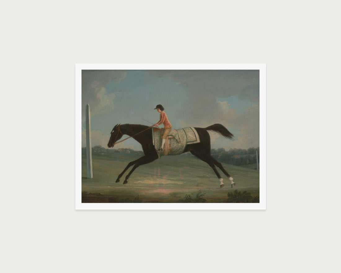 Derby Rider