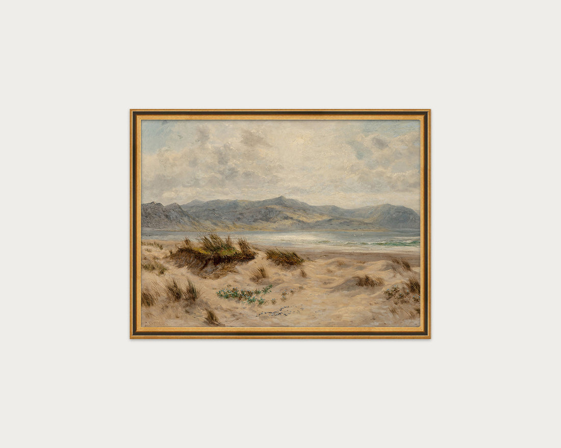 Dunes on the Welsh Coast