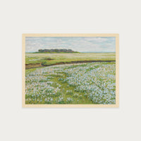 Fields in Bloom