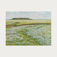 Fields in Bloom