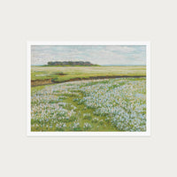 Fields in Bloom