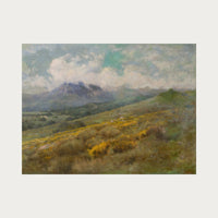 Golden Fields