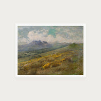 Golden Fields