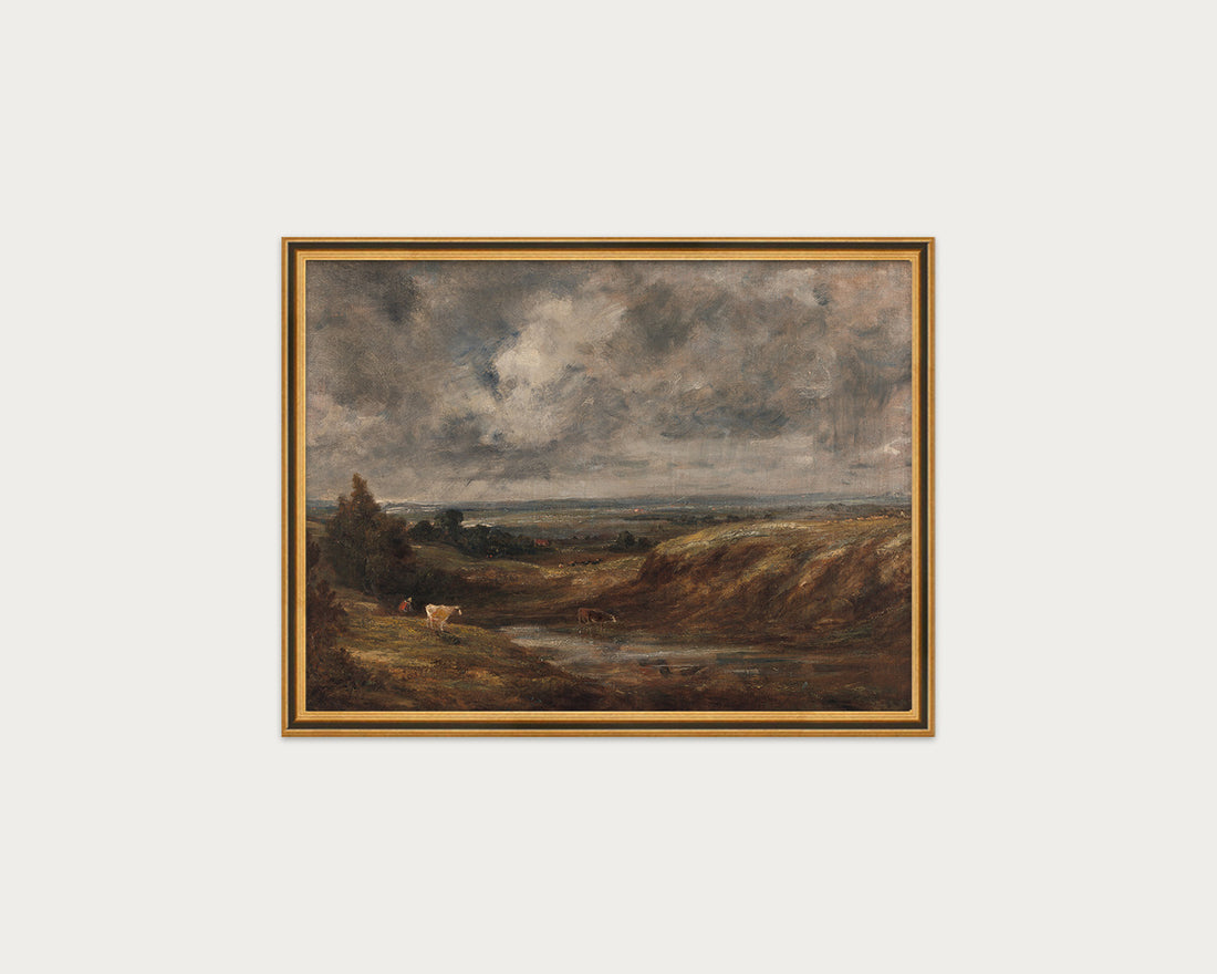 Hampstead Heath