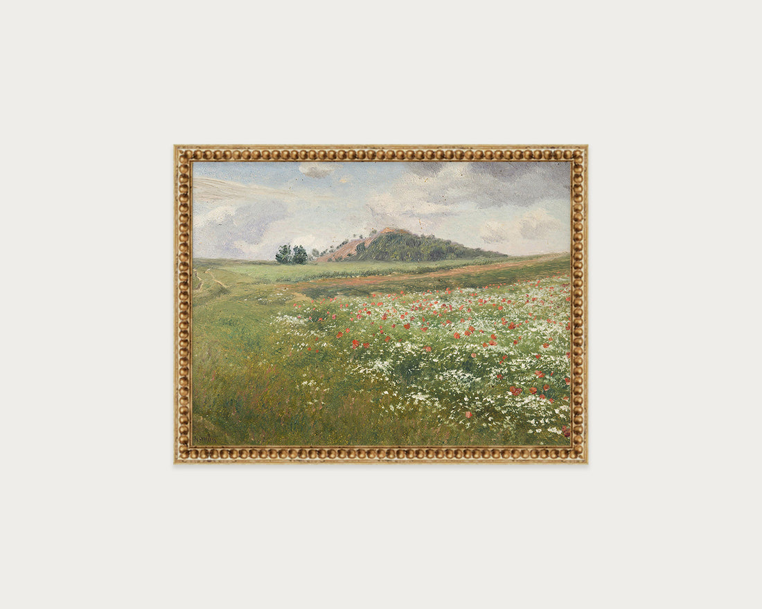 Poppy Fields
