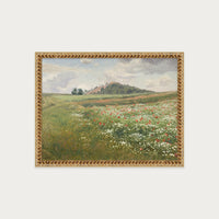Poppy Fields
