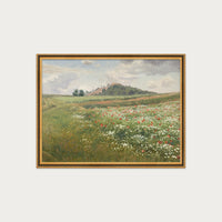 Poppy Fields