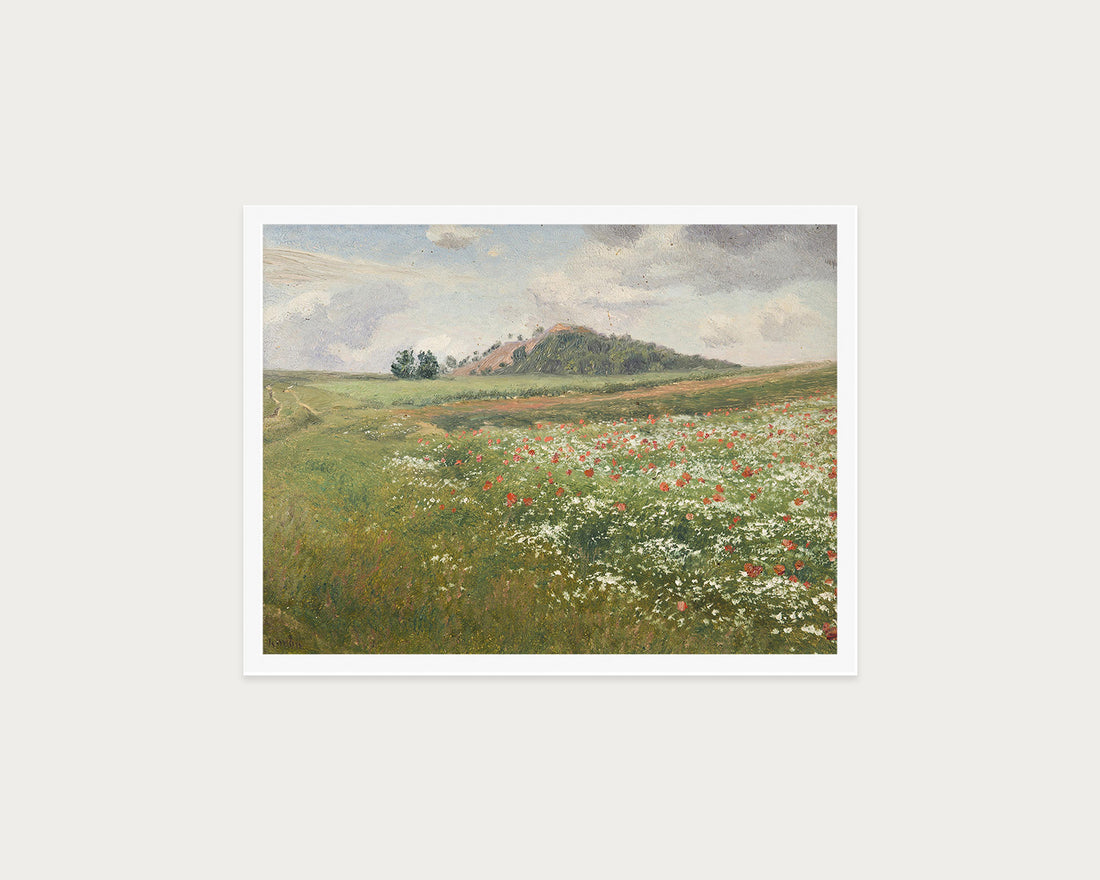 Poppy Fields