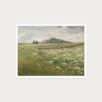 Poppy Fields