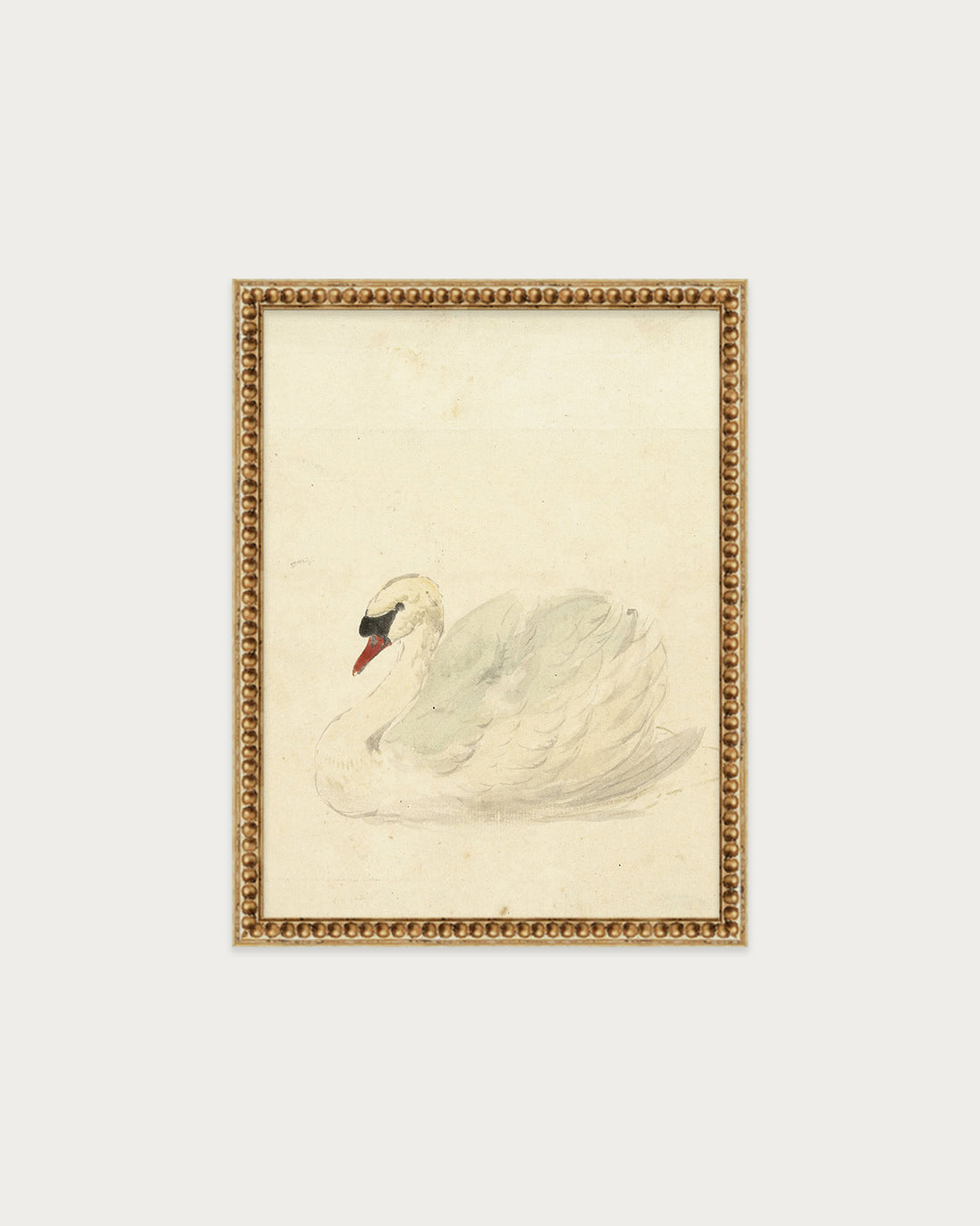 The Swan