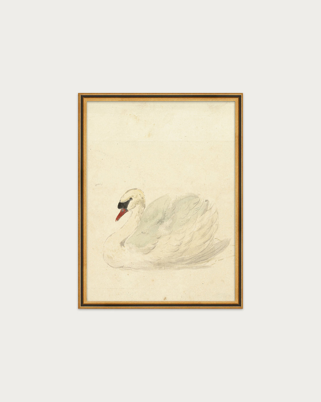 The Swan