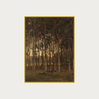 Dawn in the Woods