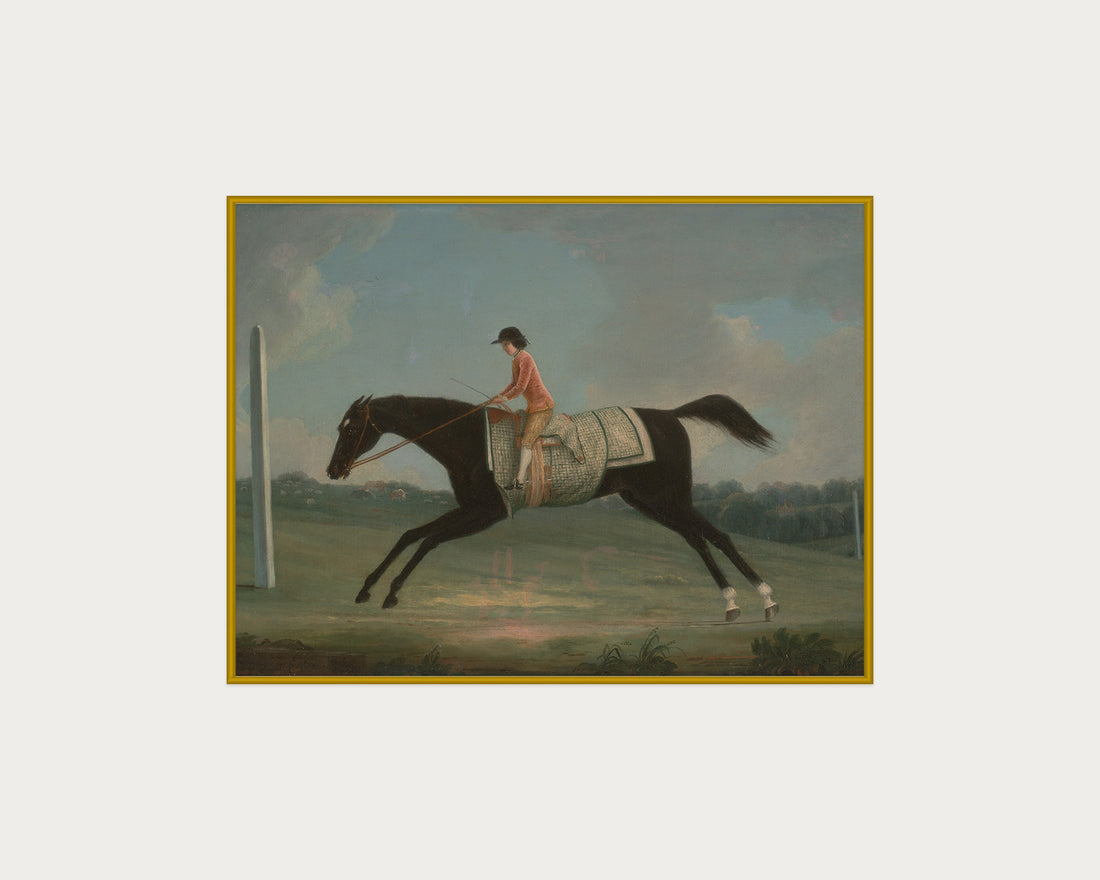Derby Rider