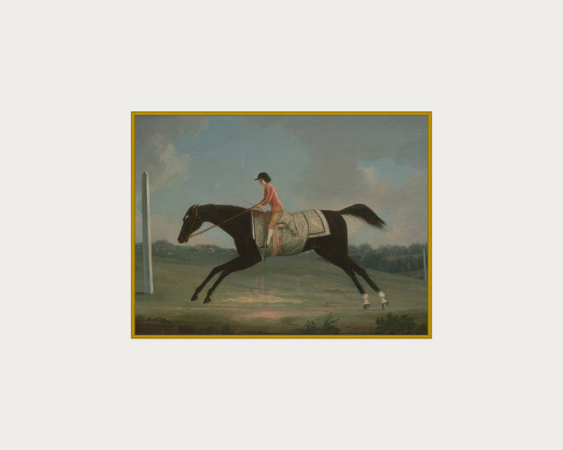 Derby Rider