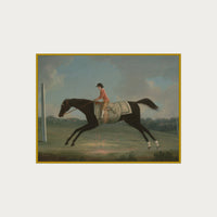 Derby Rider
