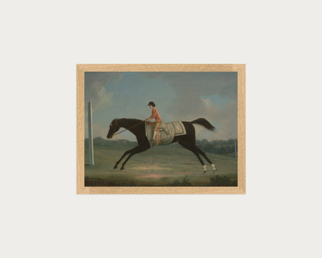 Derby Rider