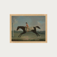 Derby Rider