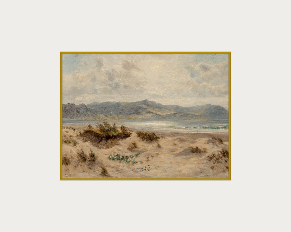 Dunes on the Welsh Coast