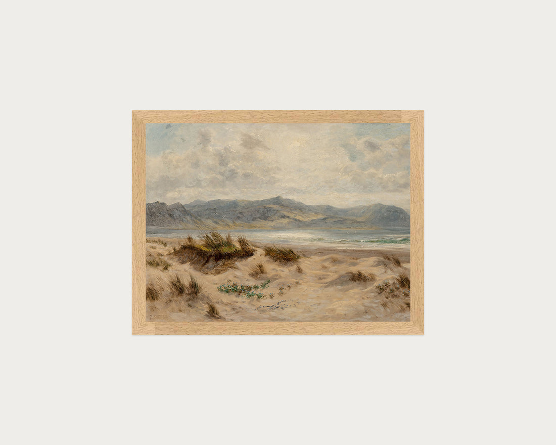 Dunes on the Welsh Coast
