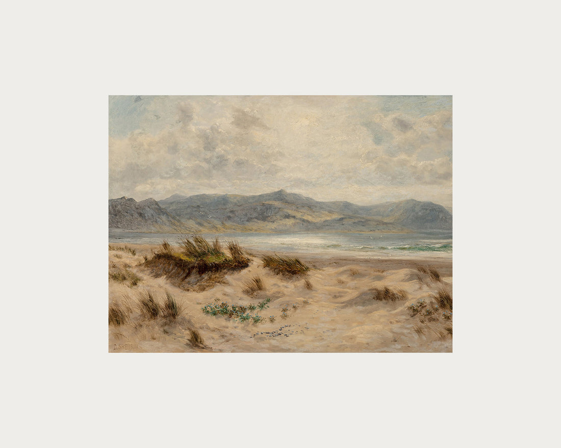Dunes on the Welsh Coast