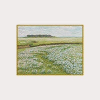Fields in Bloom
