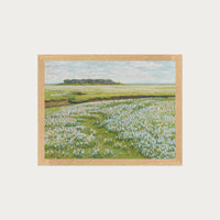 Fields in Bloom