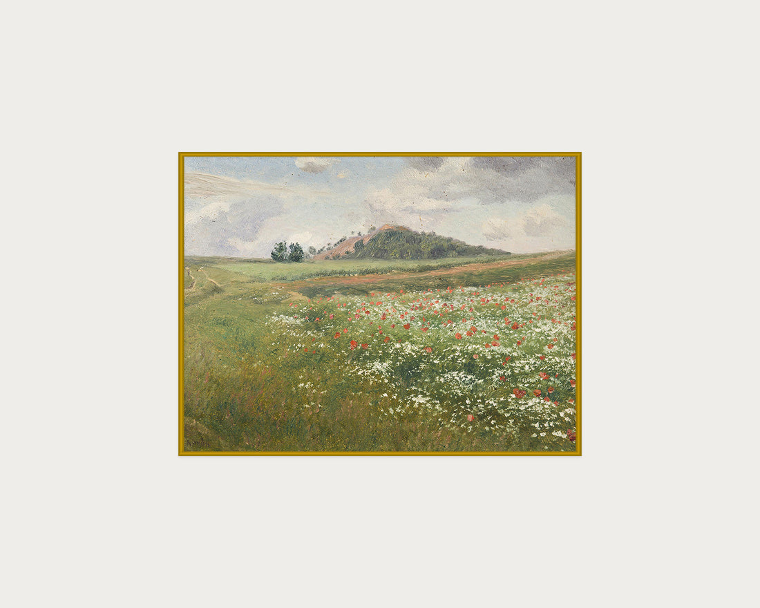 Poppy Fields