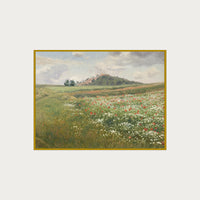Poppy Fields