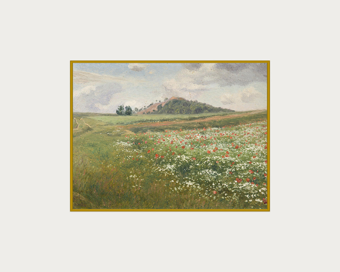 Poppy Fields