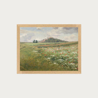 Poppy Fields