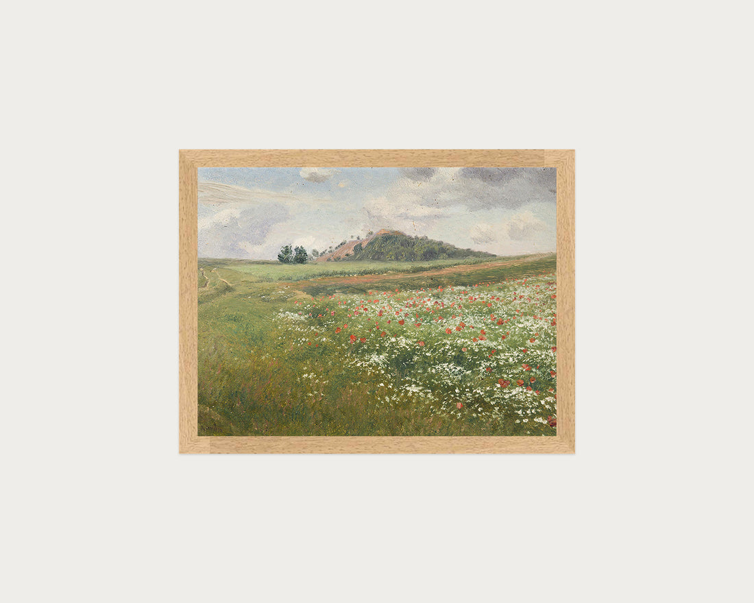 Poppy Fields